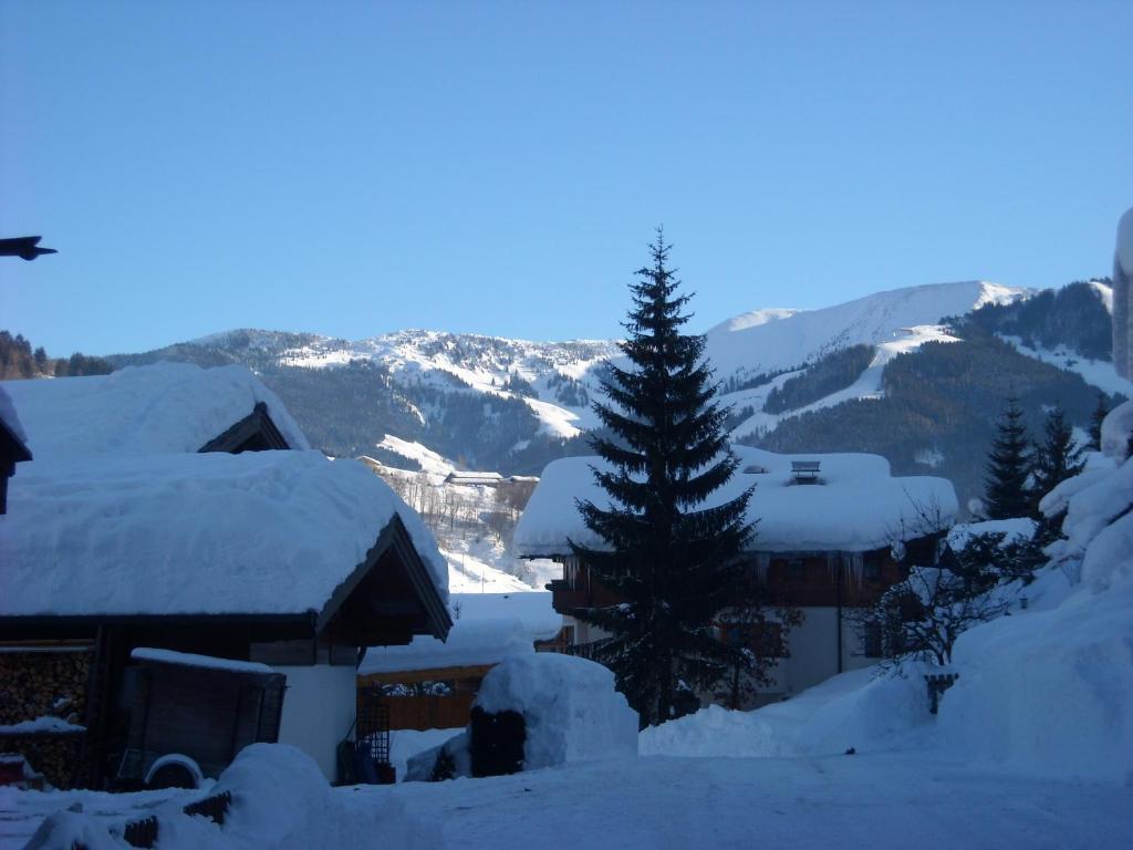 Haus Rieder Georg Daire Maria Alm am Steinernen Meer Dış mekan fotoğraf