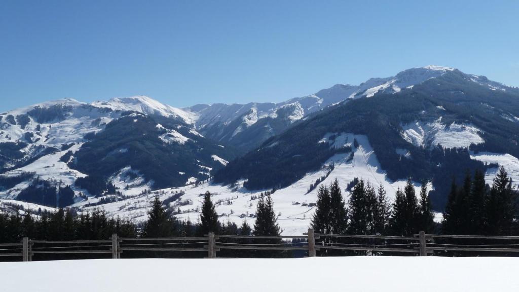 Haus Rieder Georg Daire Maria Alm am Steinernen Meer Dış mekan fotoğraf